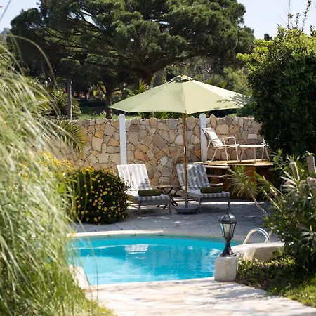 Fruitier, Sunny Pool Near The Sea & Beach, Domaine L'oiseau Bleu