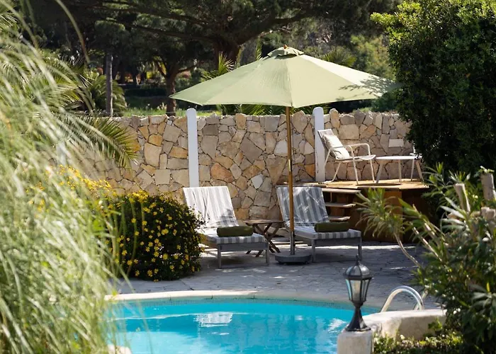 Fruitier, Sunny Pool Near The Sea & Beach, Domaine L'oiseau Bleu