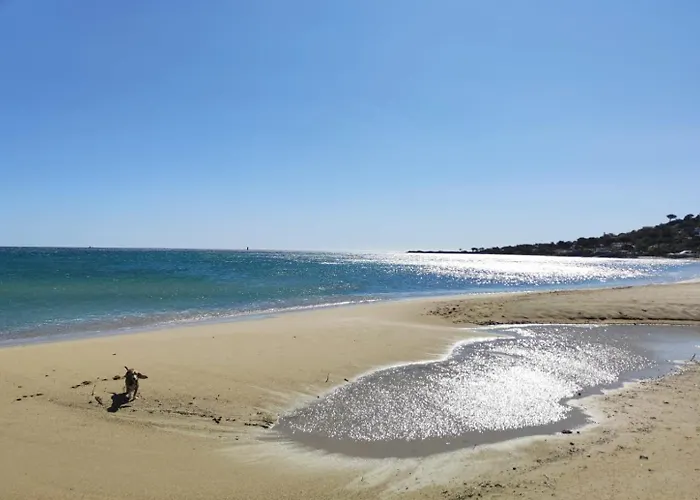 Willa Fruitier, Sunny Pool Near The Sea & Beach, Domaine L'oiseau Bleu *